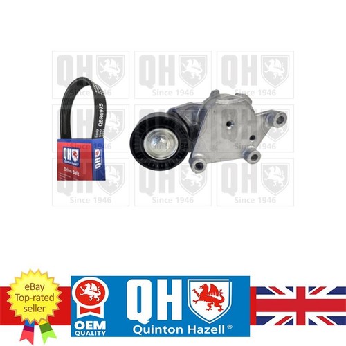 Ribbed belt set for citroen - set,