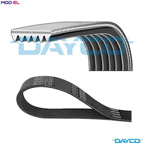 Vribbed belt 6pk1013 for - vribbed,