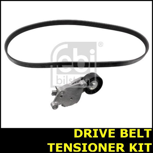 Alternator drive belt - drive,