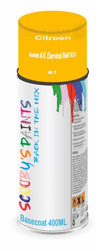 For citroen spray - for, paint
